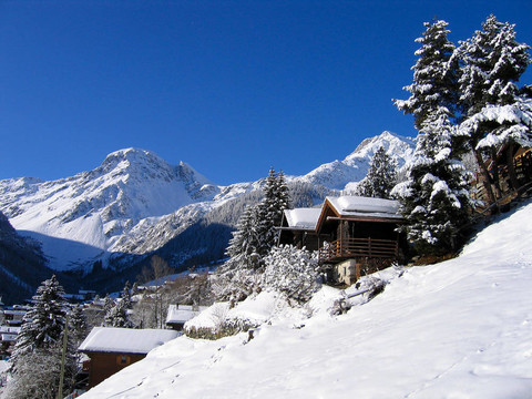 在白雪谷的小屋