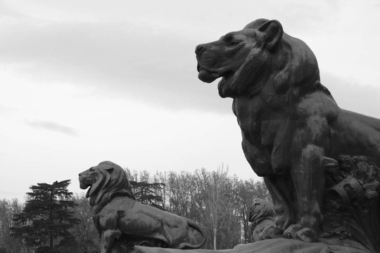 公園里的兩只獅子