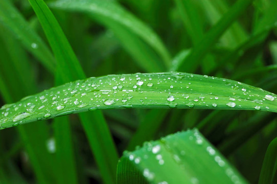 雨滴