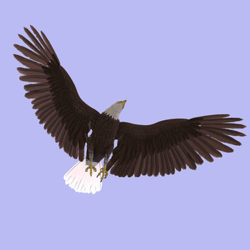 鷹君集團(tuán)