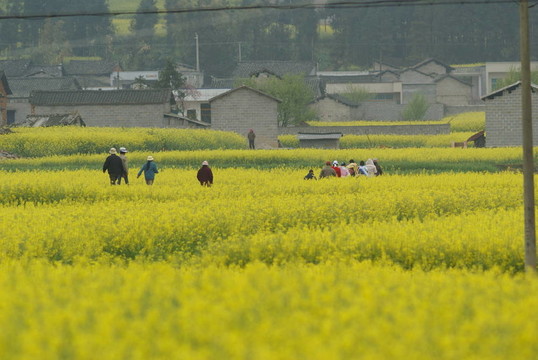 回家