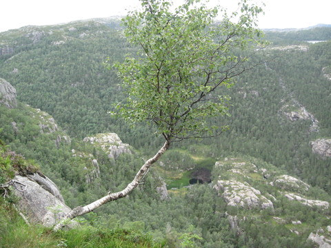 山水風(fēng)光