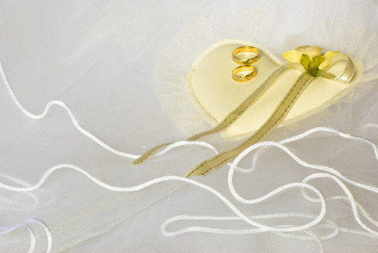 婚紗上的結(jié)婚戒指