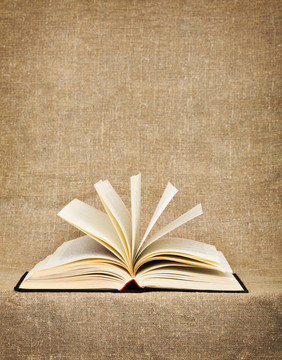 在畫布上打開大的書