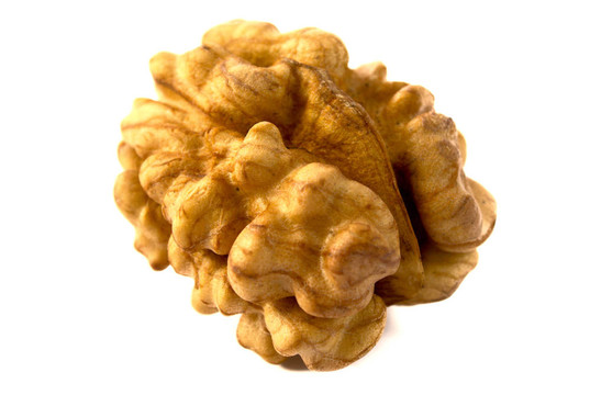 核桃核