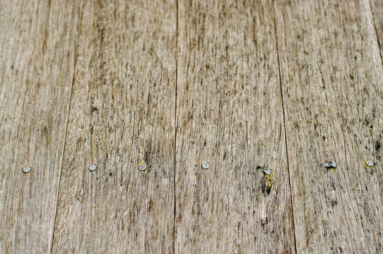 老破舊的木材紋理背景