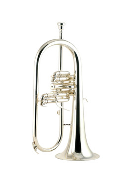 銀fluegelhorn