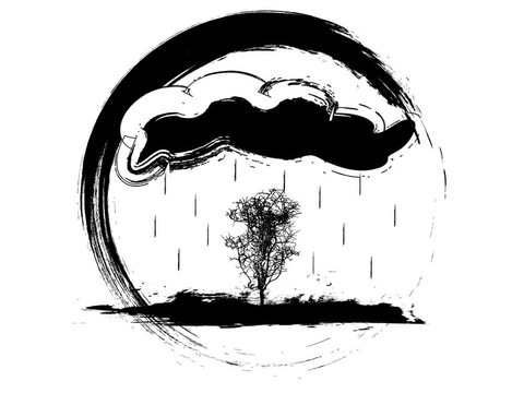 雨