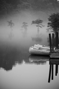 晨霧；山叉河