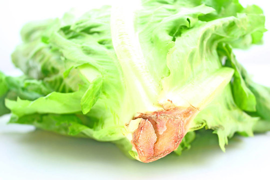 薩拉德