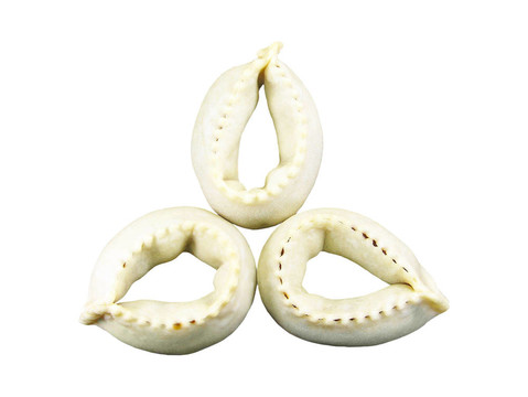 Tericcas（撒丁島傳統(tǒng)糖果）