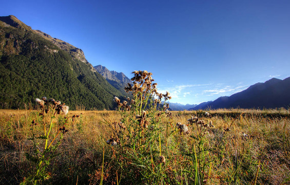 庫克山