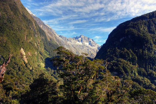 山地景觀