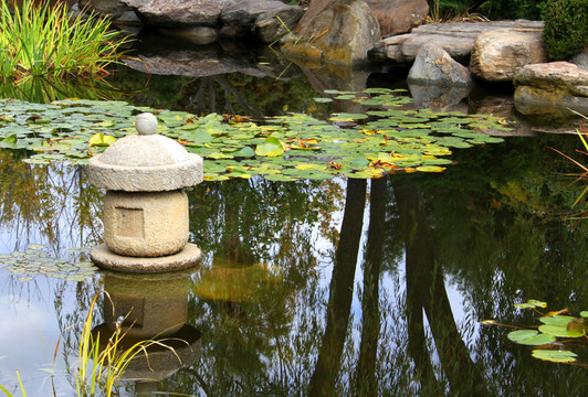 基于水的ensui觀看申日本水上花園