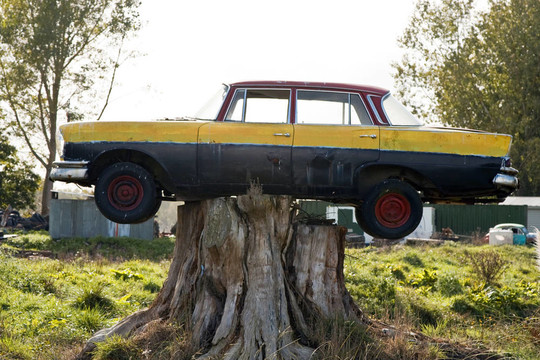 被困在樹上的車