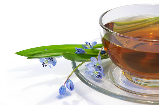 在一個透明的杯子和花上的茶