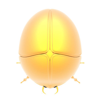 金色的bug