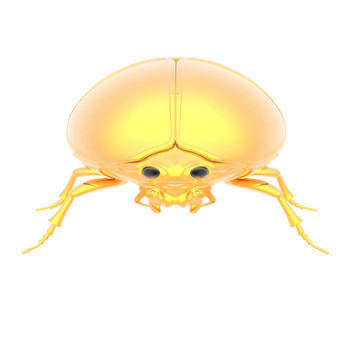 金色的bug