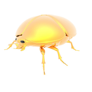 金色的bug