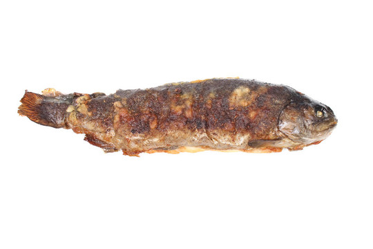 魚