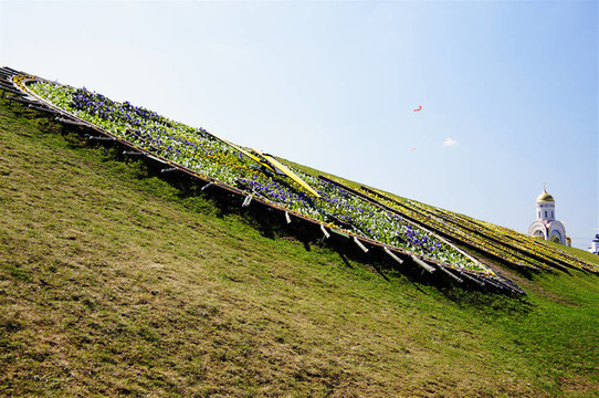 Hill與花鐘