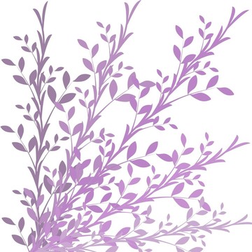 花紫色背景