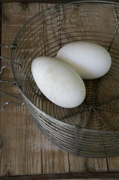 雞蛋在籃子里