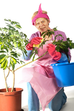 房屋妻子清潔工廠
