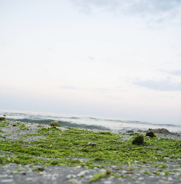 在海灘的夏天。