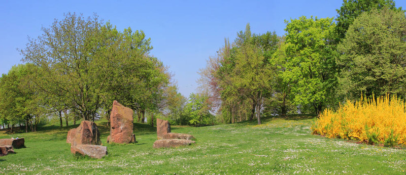 夏天的風景