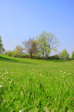 夏天的風(fēng)景