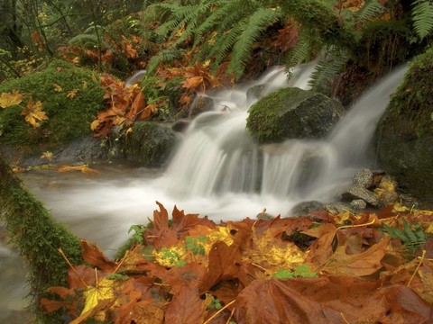 秋天的瀑布