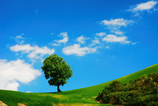 明亮的夏日風(fēng)景