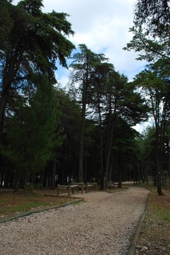 Lisbon的“孟”公園景觀