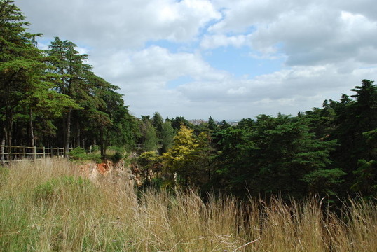 Lisbon的“孟”公園景觀