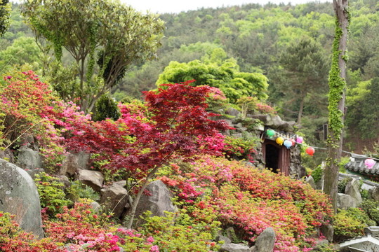 寺