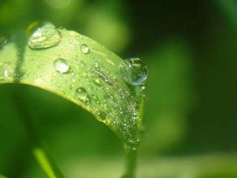 水滴