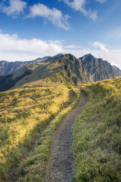 通往山的路