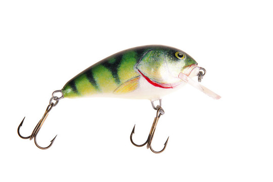 魚餌搖擺