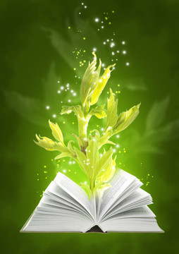 地面魔法書