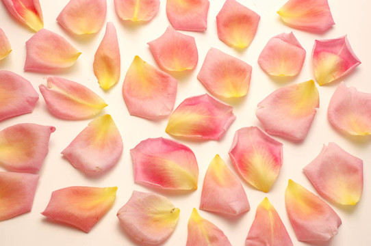 粉紅色的花瓣