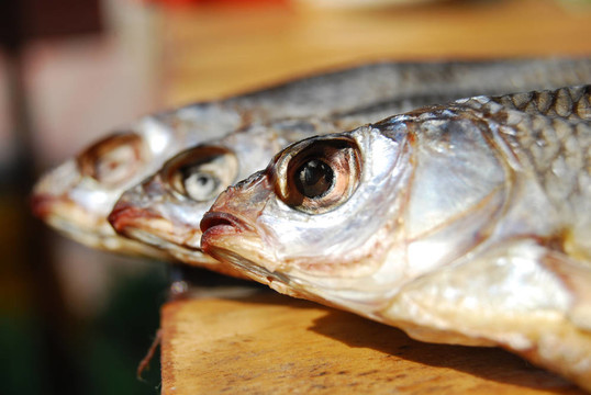 三干魚