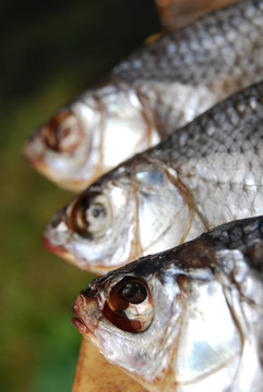 三干魚