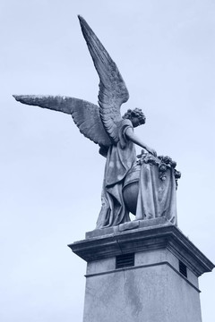 天使在Recoleta