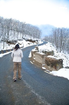 走在冬天的路上