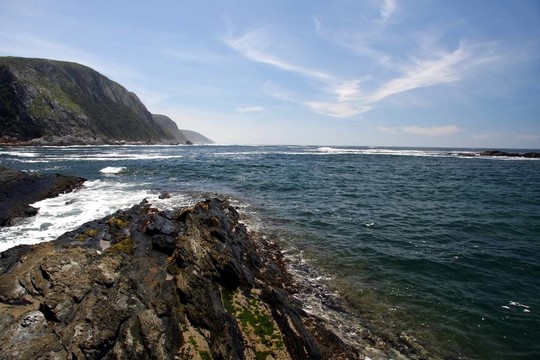 野生的海岸線