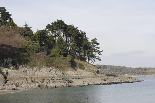 海岸線