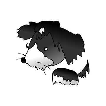 比熊犬