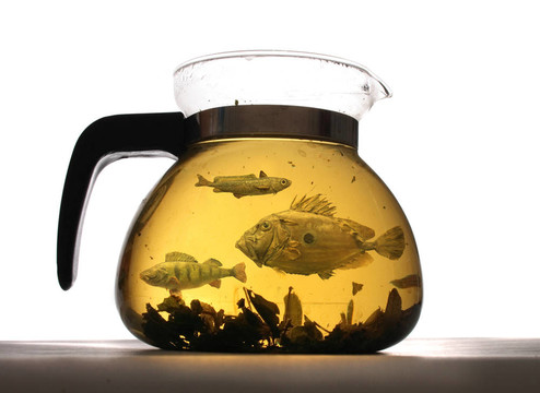 草藥茶
