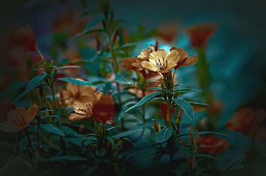 裝飾畫
